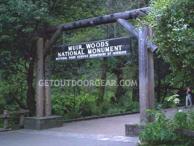 Muir Woods national monument sausalito california