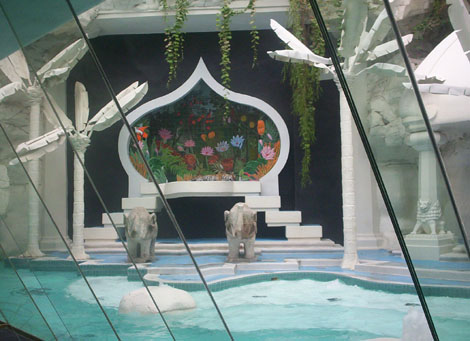 Mirage hotel tiger display
